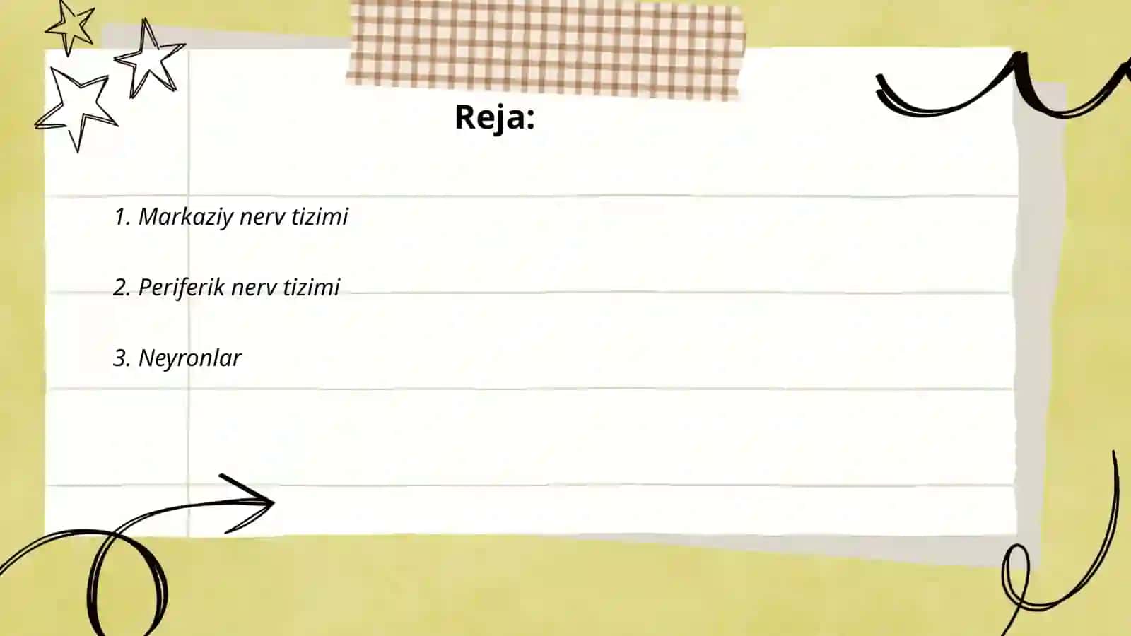 Markaziy nerv tizimi (MNT) 2