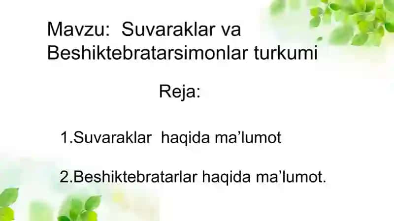 Suvaraklar va Beshiktebratarlar Turkumi 2