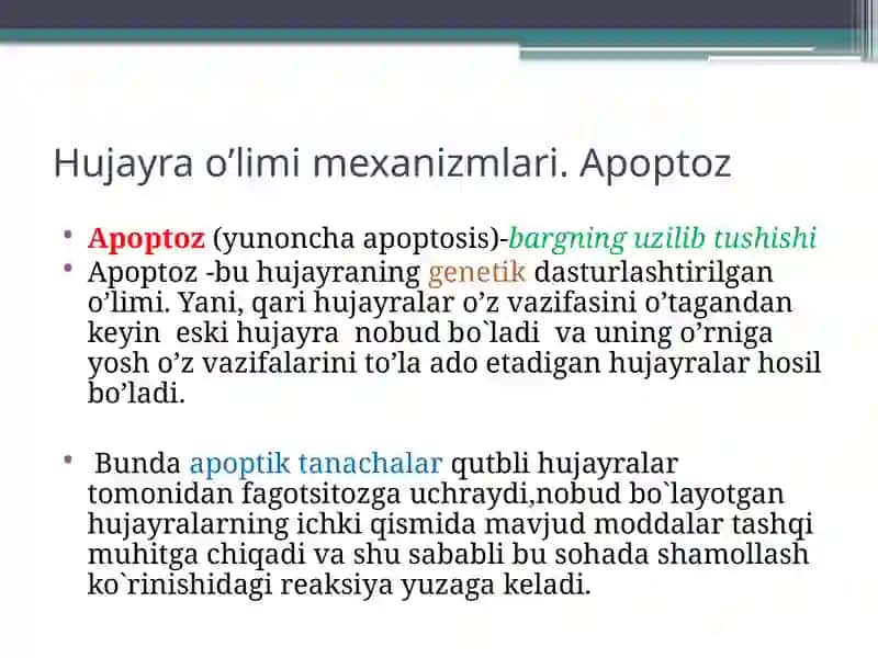 Apoptozmexanizmlari 2