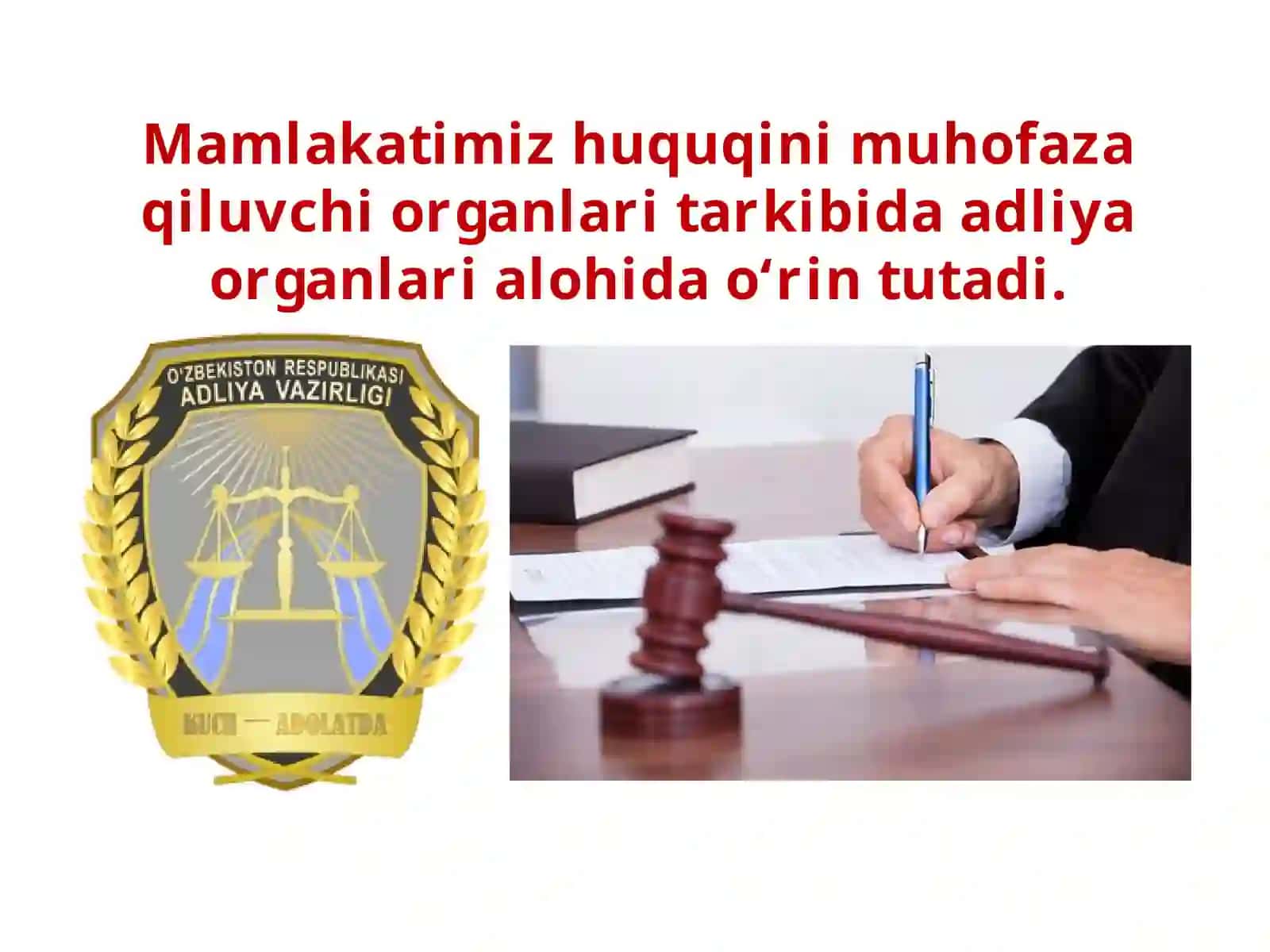 Adliya vazirligi Advokatura va Notarial idoralar 2