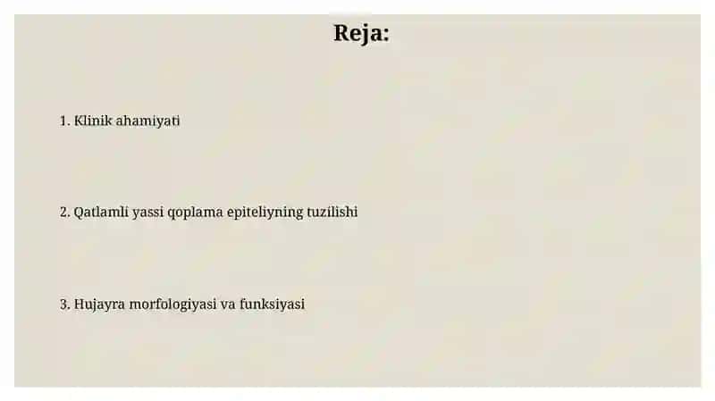 Yassi epitiliyning tuzilishi 2