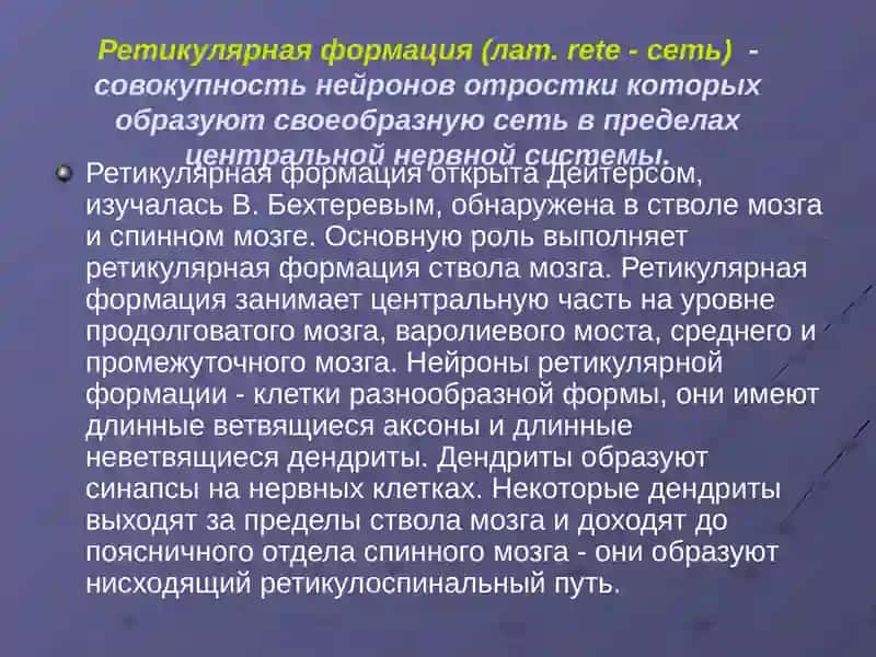 Ретикулярная формация 2