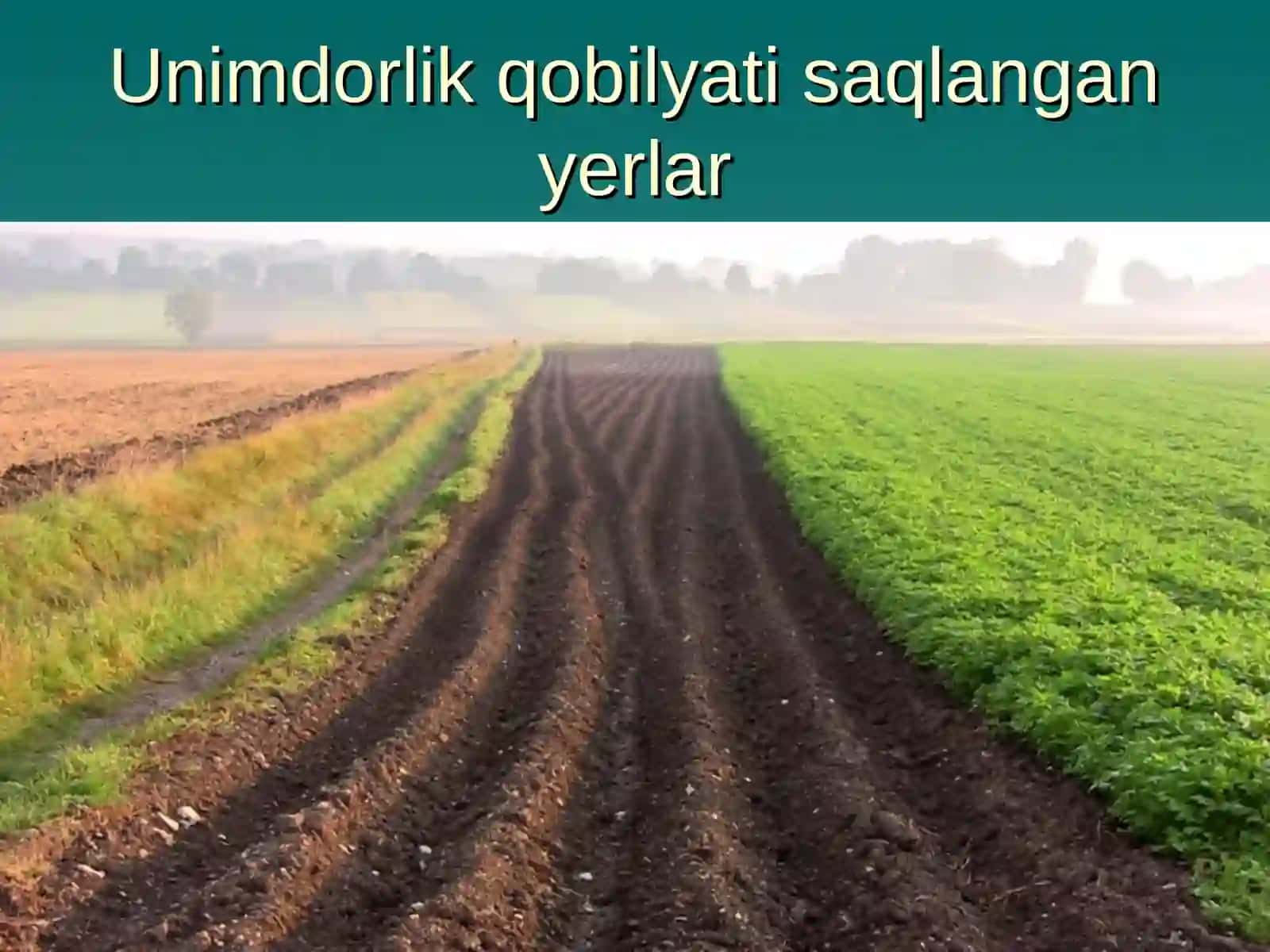 Tuproqshunoslik 2