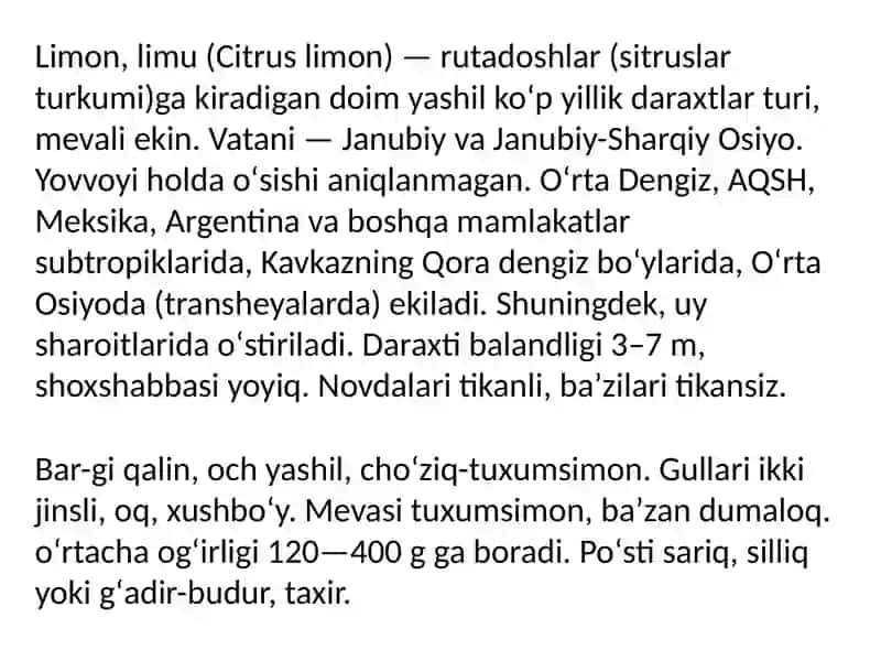 Limon koʻchatini yetishtirish 2