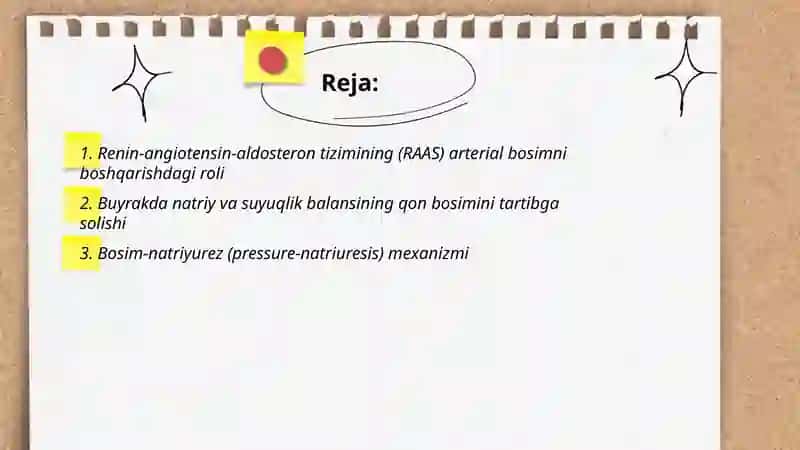 Buyrakning arteriyal bosimini boshqarishda roli 2