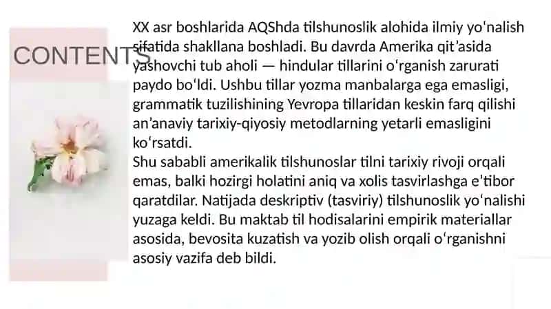 Amerika deskriptiv maktabi 2