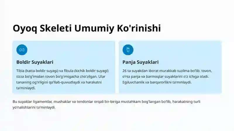 Oyoq Suyagi Yoylari Anatomiyasi 2