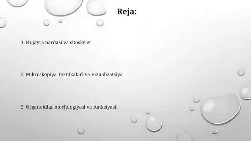 Hujayra va organellalarning morfologik jihatdan tuzulmaviy asosi 2
