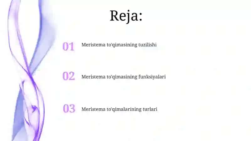 Meristema to'qimasining tuzilishi 2