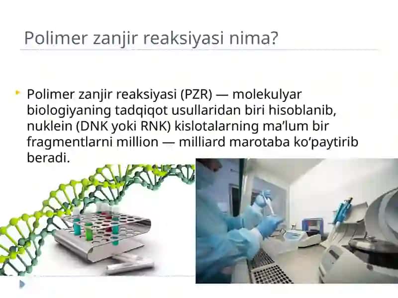 Polimerzanjir reaksiyasi (ПЦР) 2