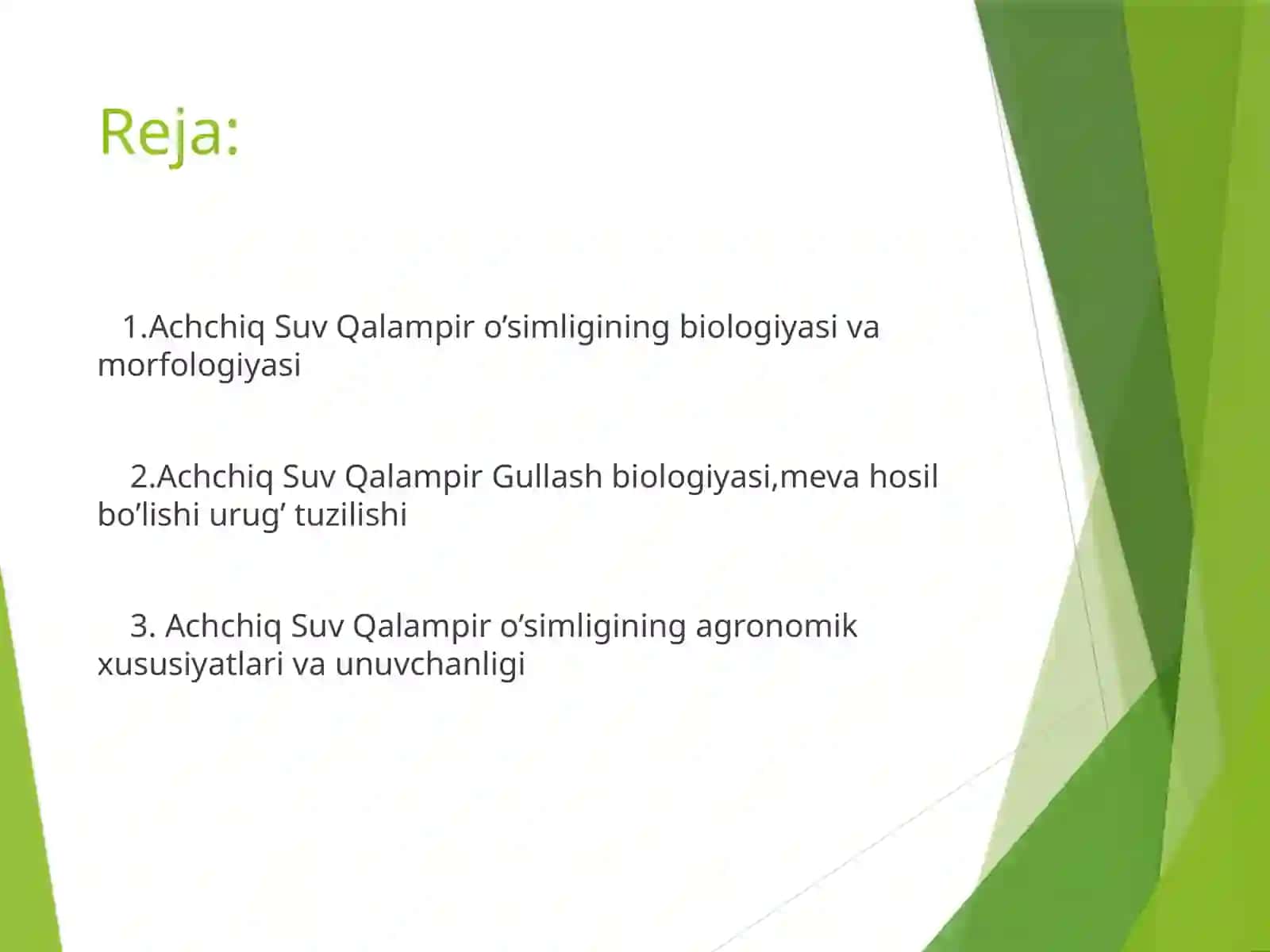 Achchiq SuvQalampir (Persiefria hydropiper) 2