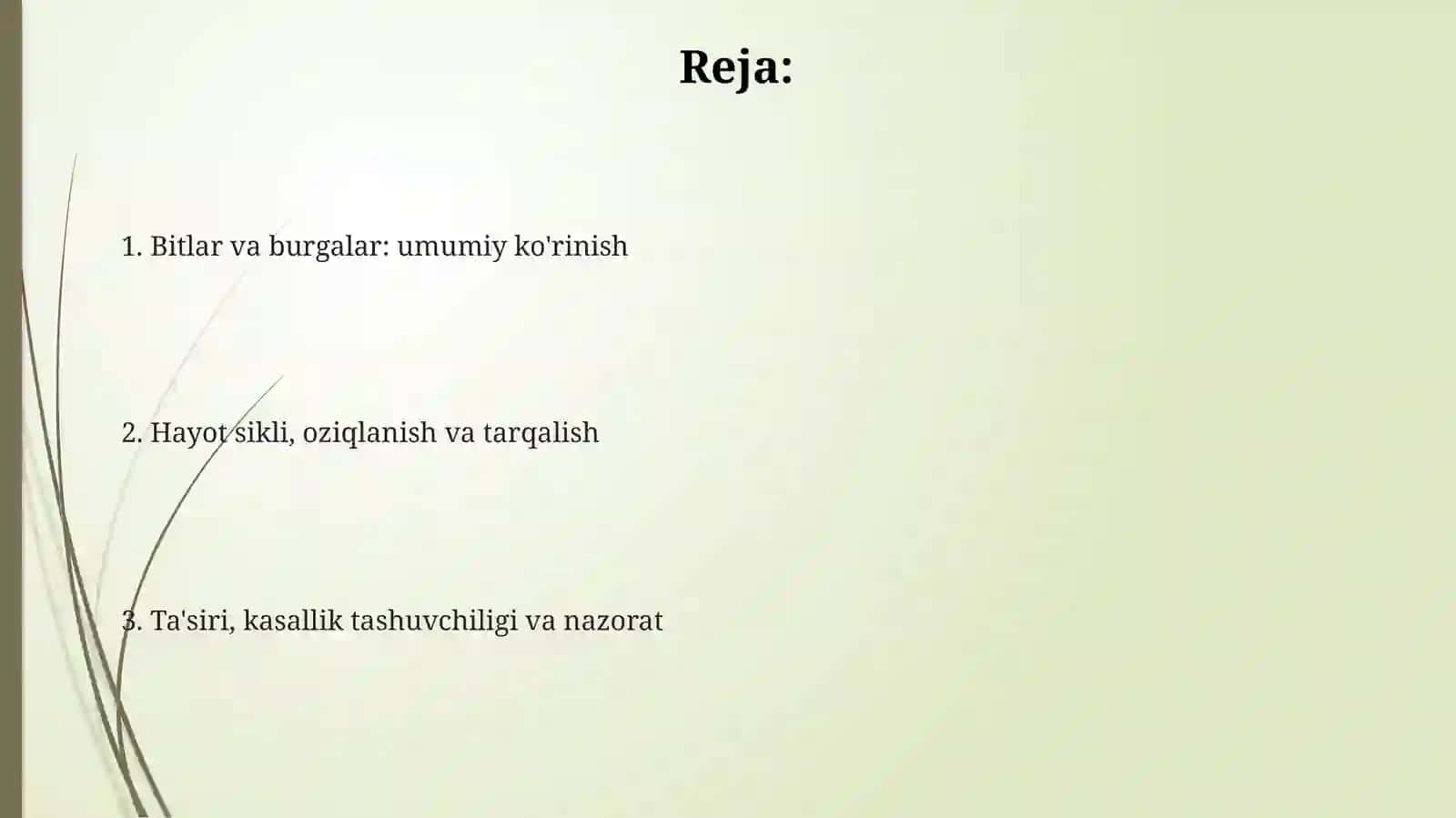Bit va burgalar turkumi 2