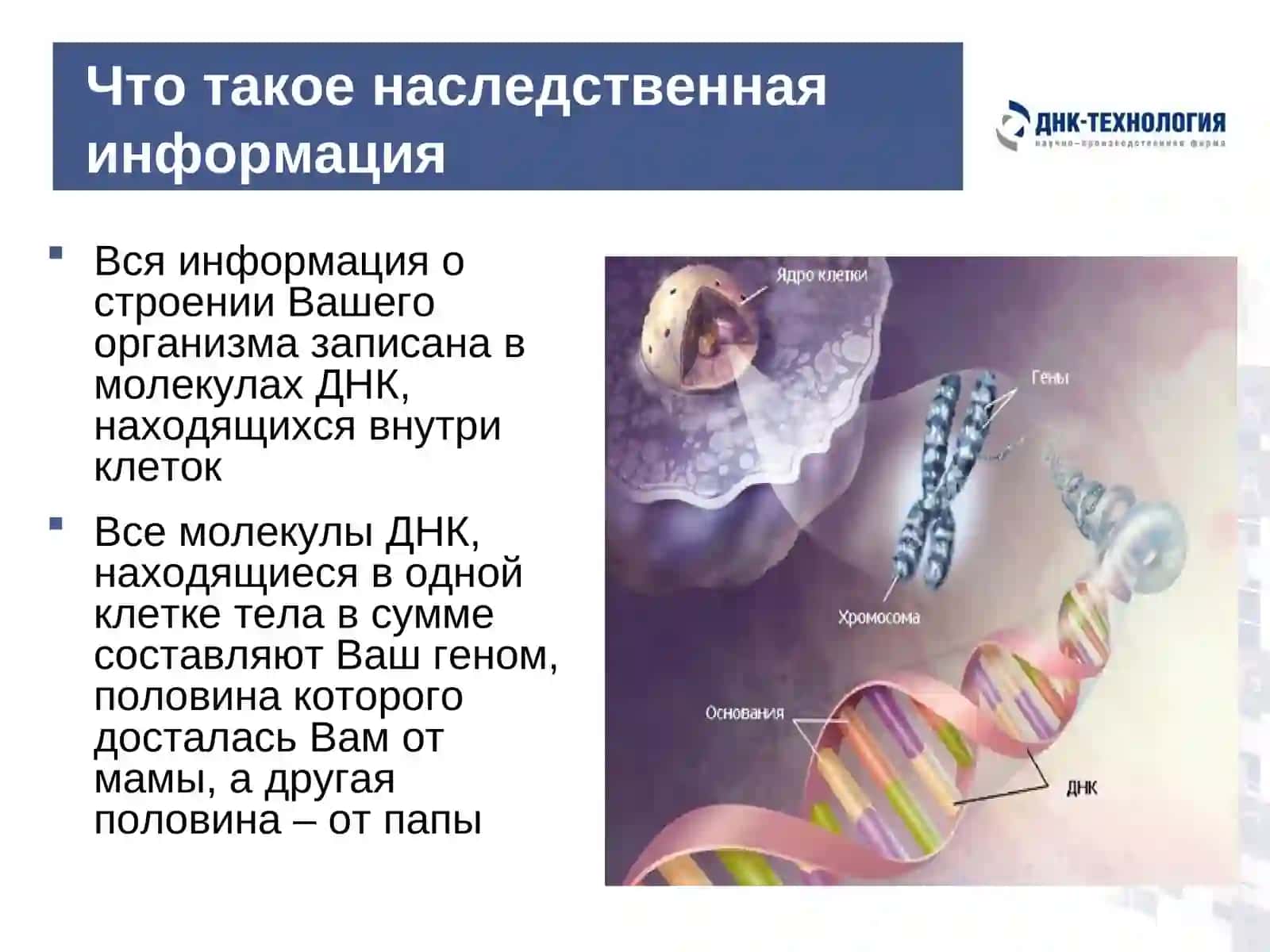 Обыкновенное чудо генетики 2