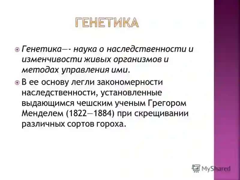 Генетика человека 2