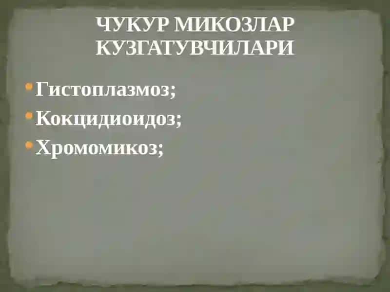 ОДАМЛАРДА ЧУКУР МИКОЗЛАР КУЗГАТУВЧИЛАРИ 2