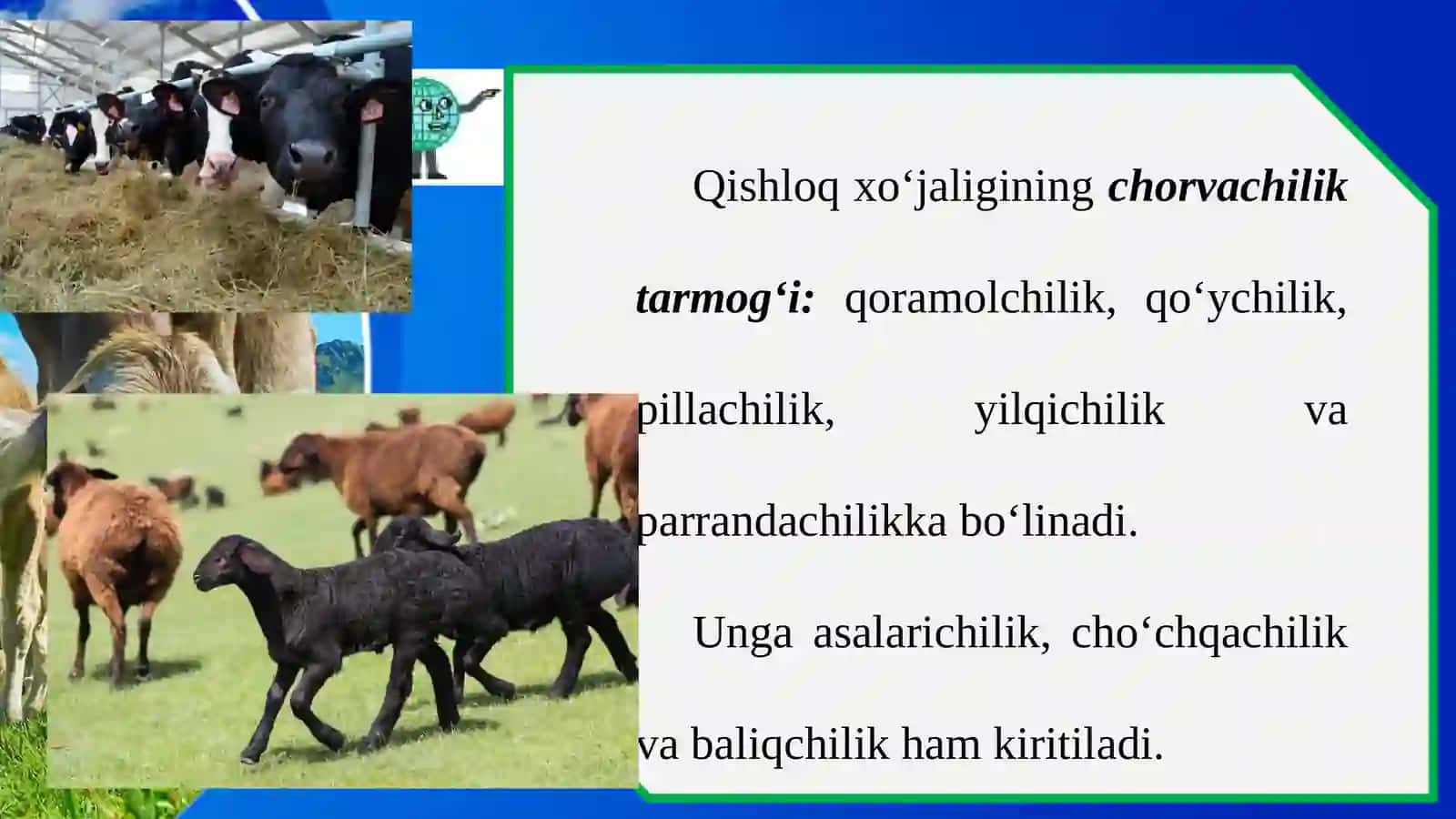 Qishloqxo‘jaligining chorvachilik tarmog‘i 2