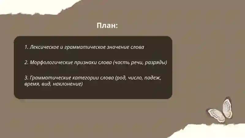 Признаки и функции слова 2