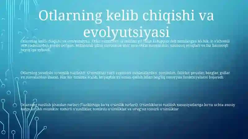Otlarning Yasalishi 2