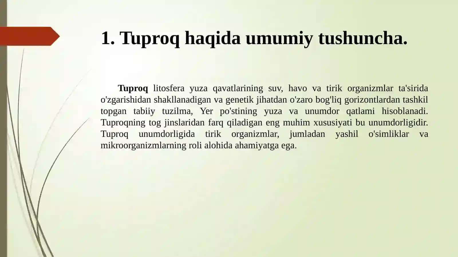 Tuproq haqida umumiy tushuncha 2