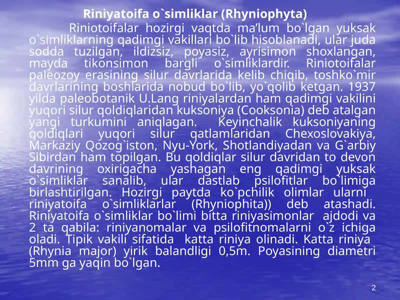 Riniyatoifalar (Rhyniophyta) 2