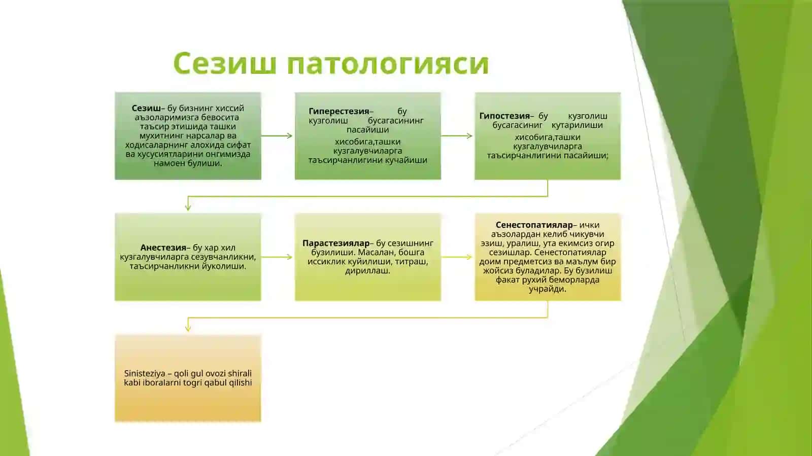 Идрок ва сезги патологияси 2