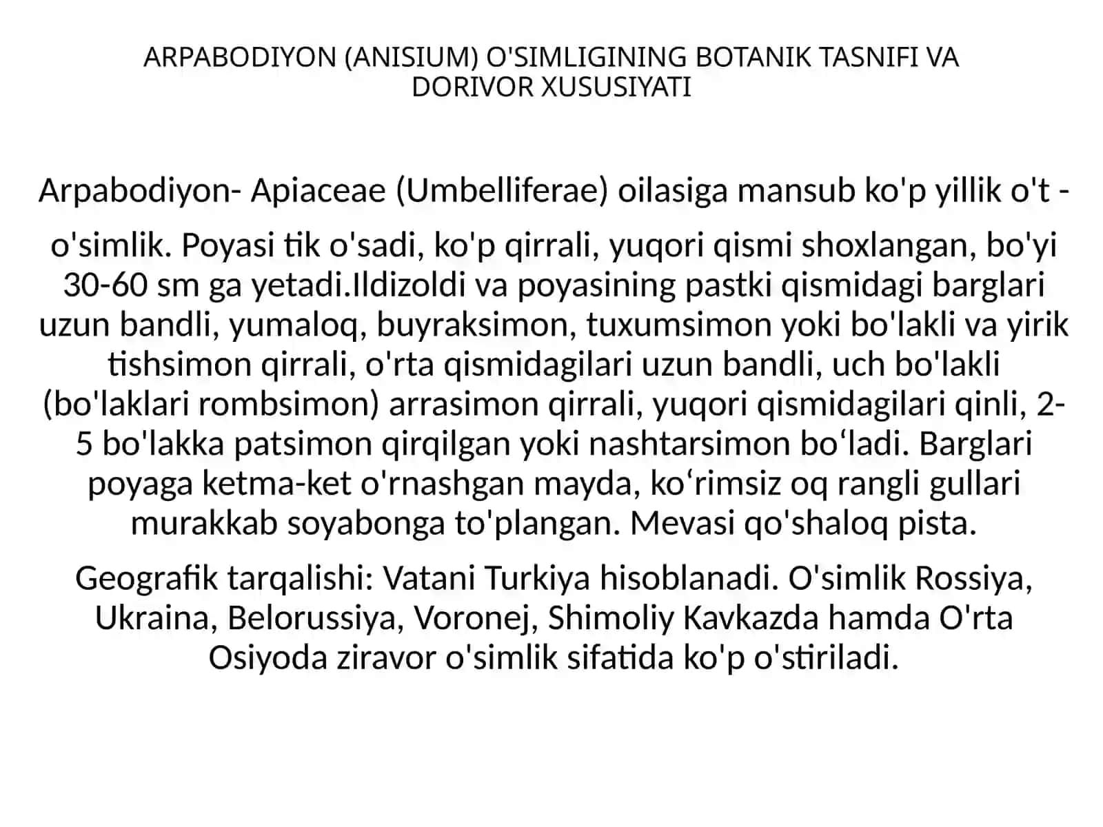 Arpabodiyon (Anisium) O'simligi 2