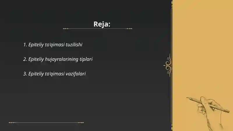 Epiteliy tòqimasi haqida 2