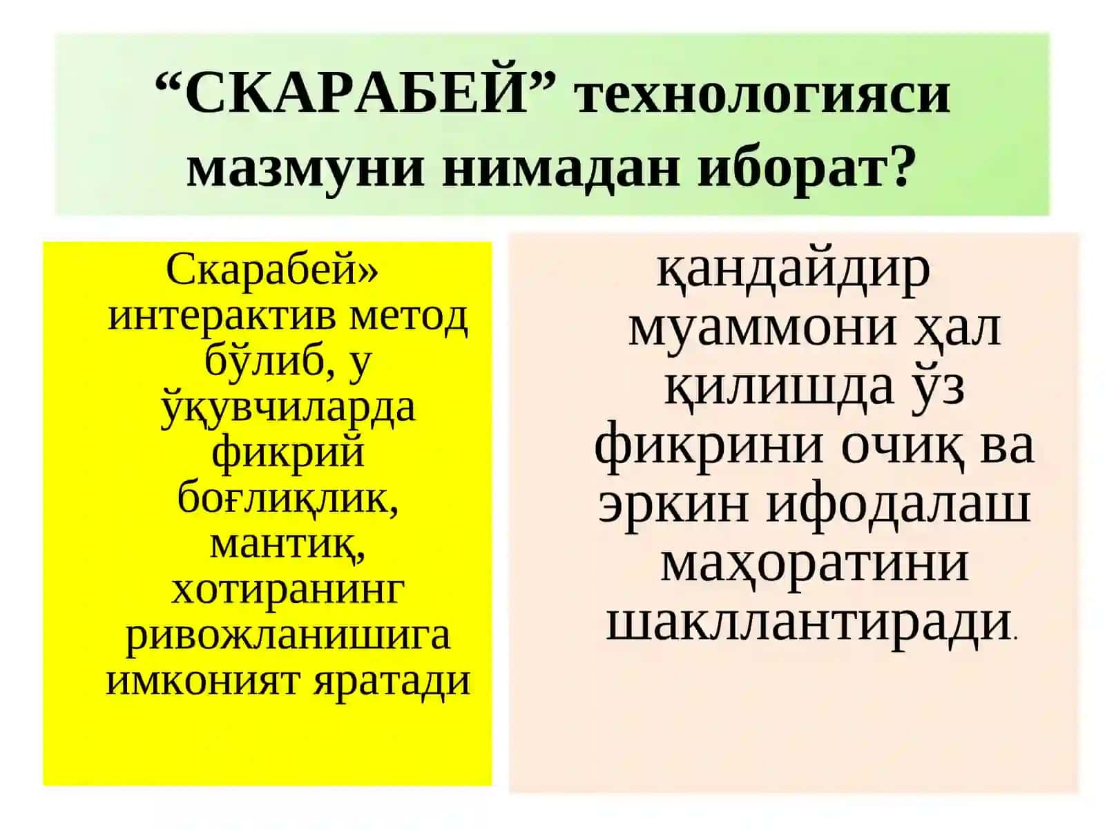 "СКАРАБЕЙ" технологияси 2
