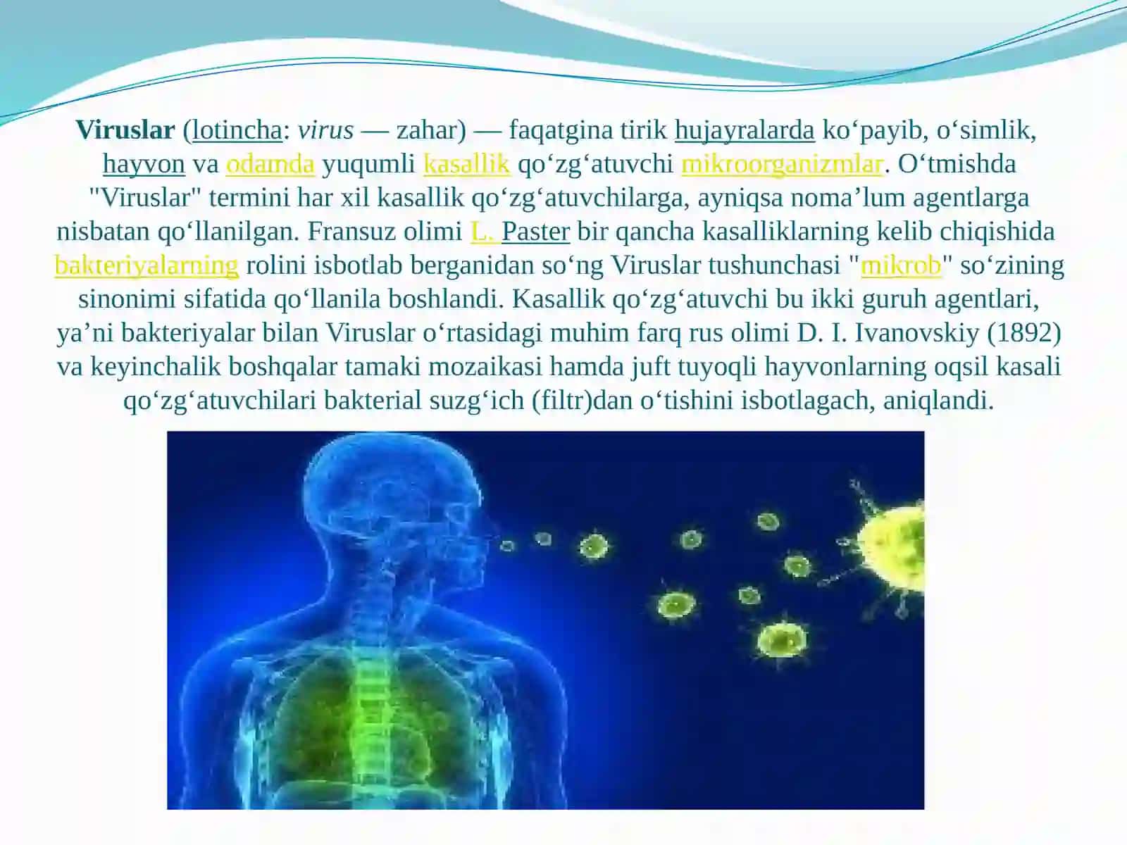 VIRUSLAR STRUKTURASI 2