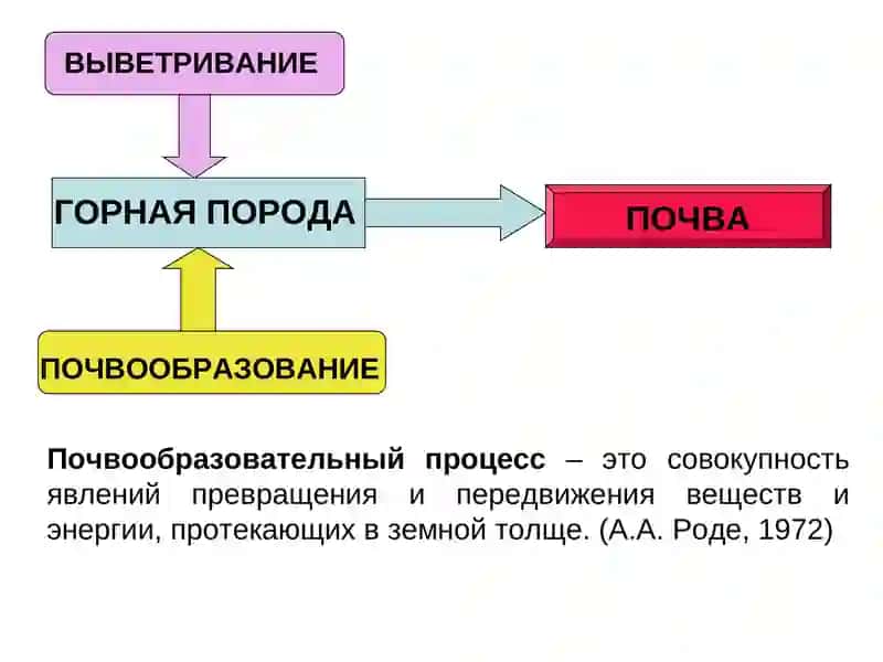 ФАКТОРЫ ПОЧВООБРАЗОВАНИЯ 2