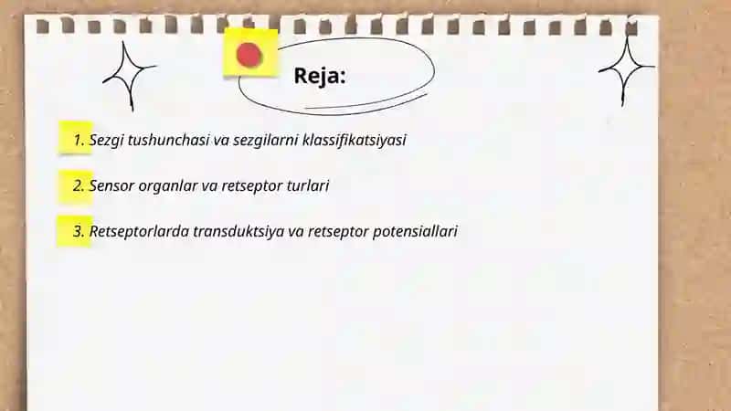 Sezgilar haqida umumiy tushuncha 2