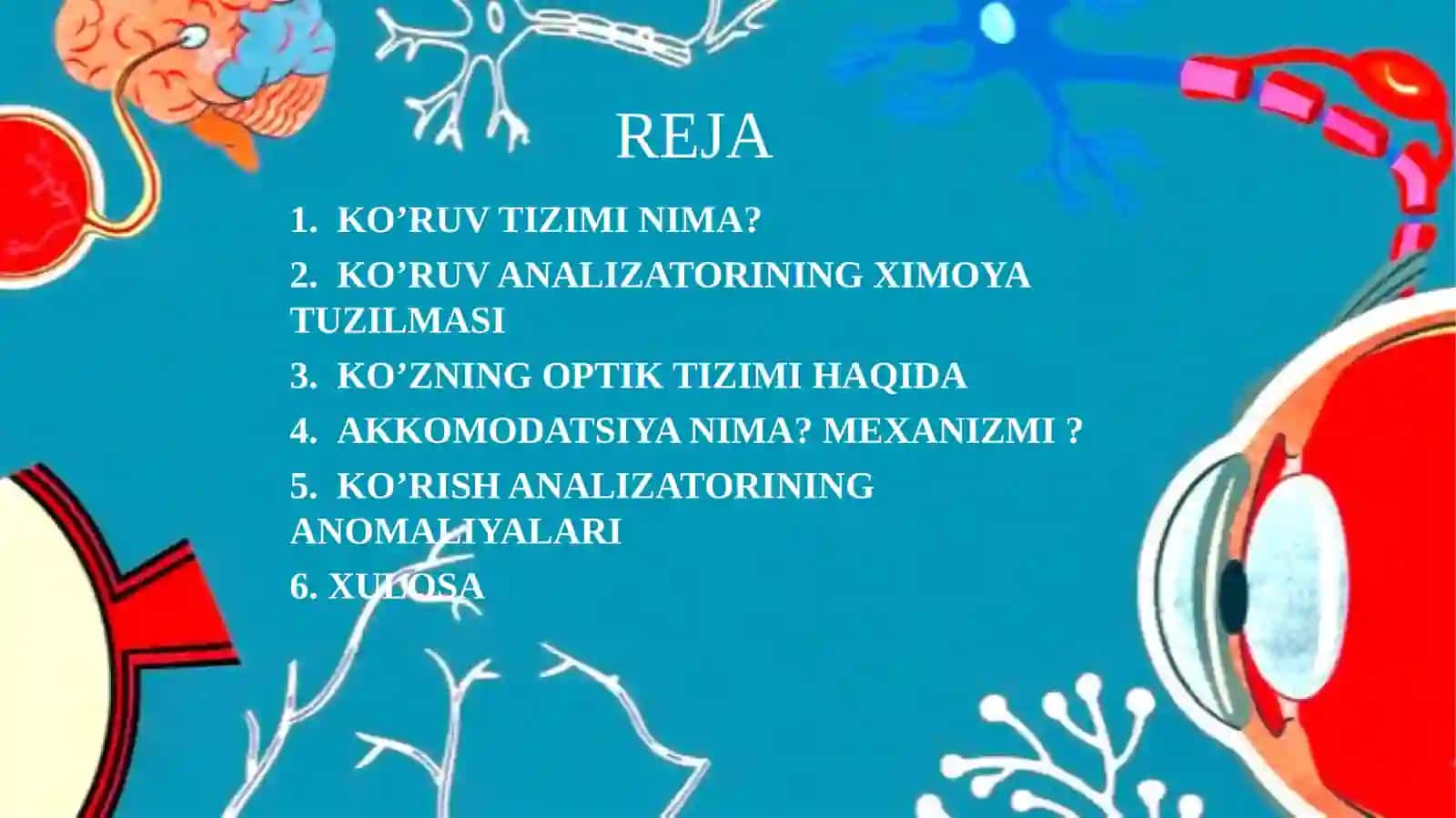 KO’RUV ANALIZATORI.KO’ZNING OPTIK VA RETSEPTOR TIZIMI 2