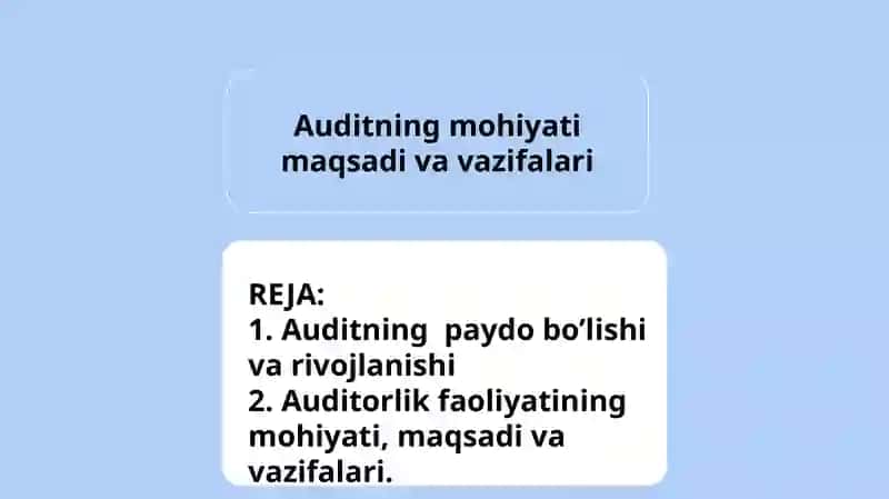 Auditning mohiyati maqsadi va vazifalari 2