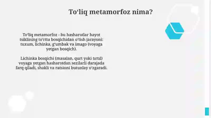 Toʻliq metamorfoz 2