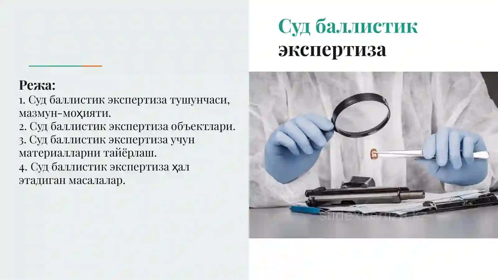 Суд баллистик экспертизаси 2