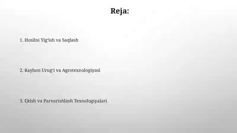 Rayhon urug'chili agro texnikasi 2