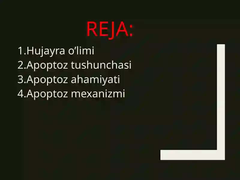 Apoptozmexanizmlari 2