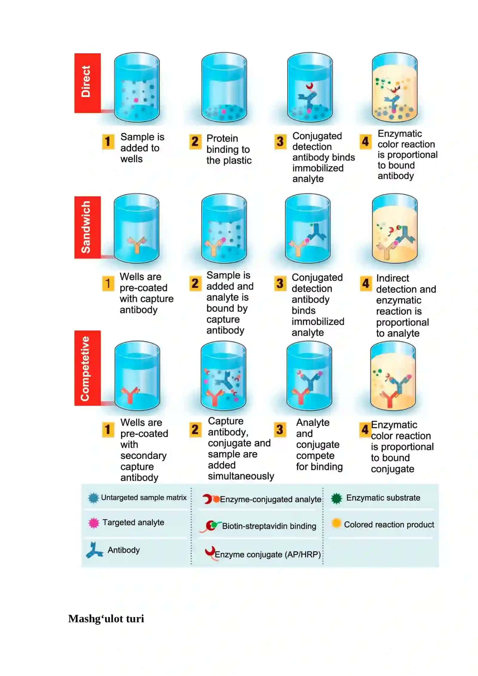 Viruslarni identifikatsiya qilish 2