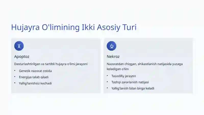 Apoptoz va Nekroz: Hujayra O'limining Ikki Yo'li 2