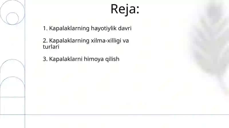 Tangachaqanotlilar (Kapalaklar) 2