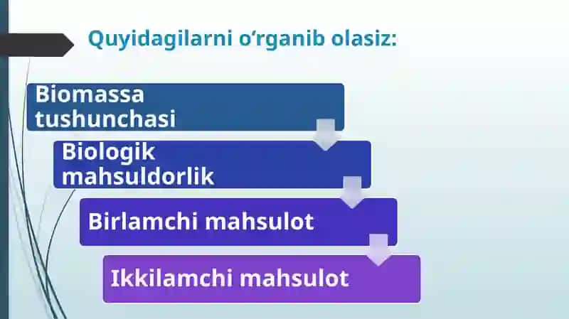 EKOTIZIMLARNING MAHSULDORLIGI 2