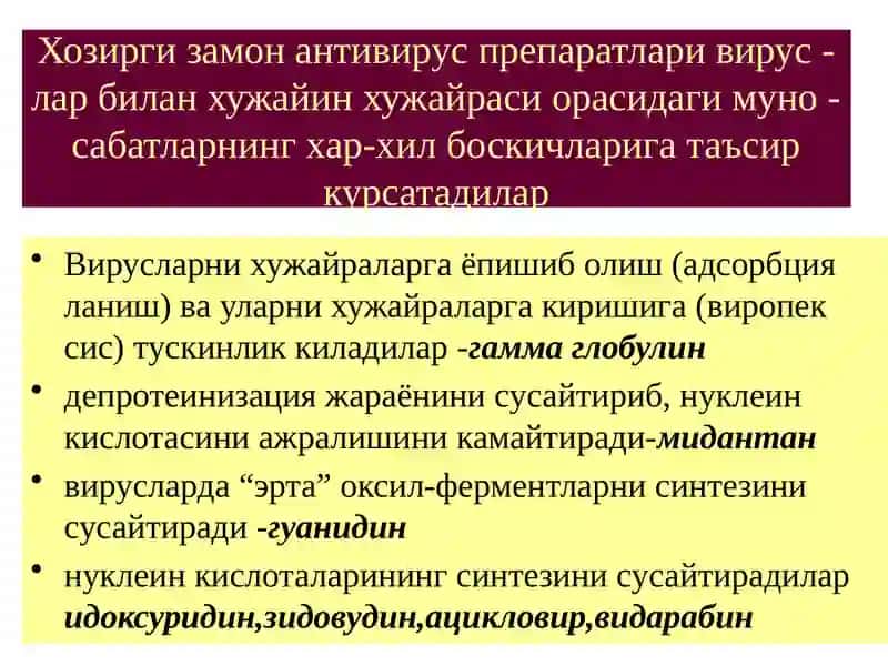 Virusga qarshi vositalar 2