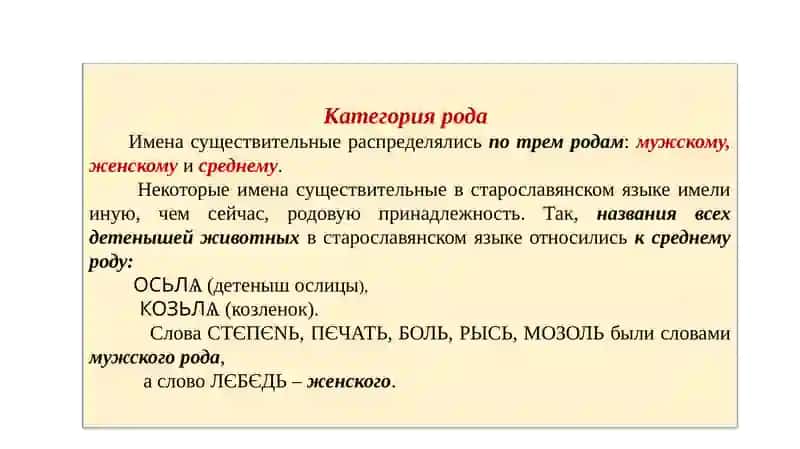 Имя существительное  в старославянском языке 2