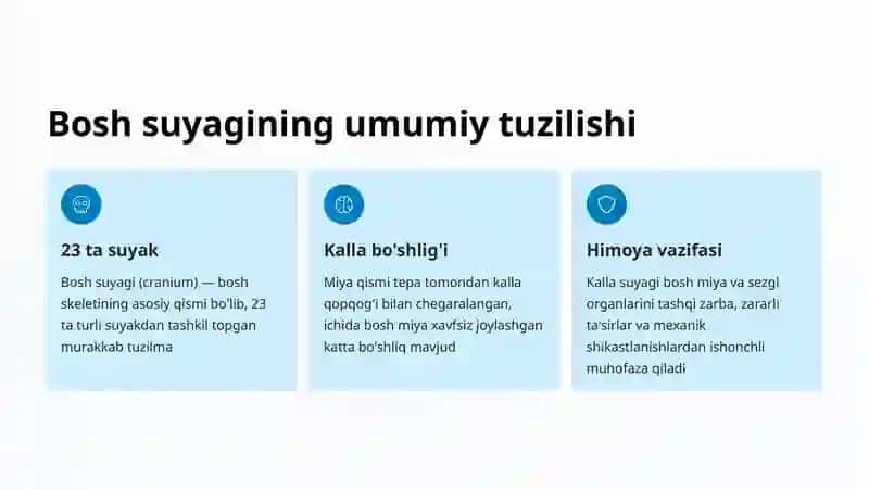Bosh suyagi: Miya qismi anatomiyasi 2
