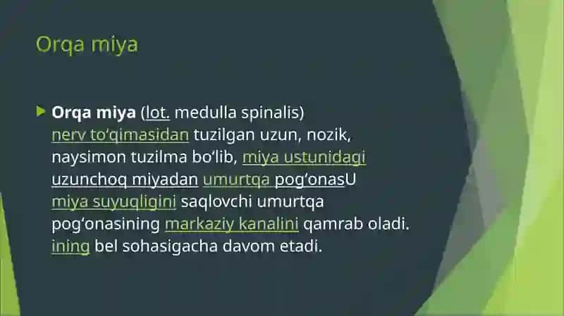 Bolalarda orqa miya o'zgarishlari 2