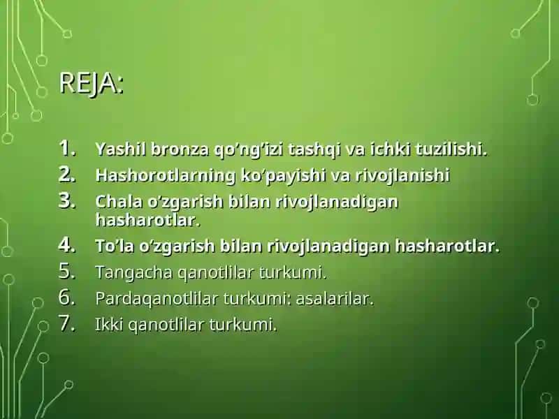 Hasharotlar Sinfi 2