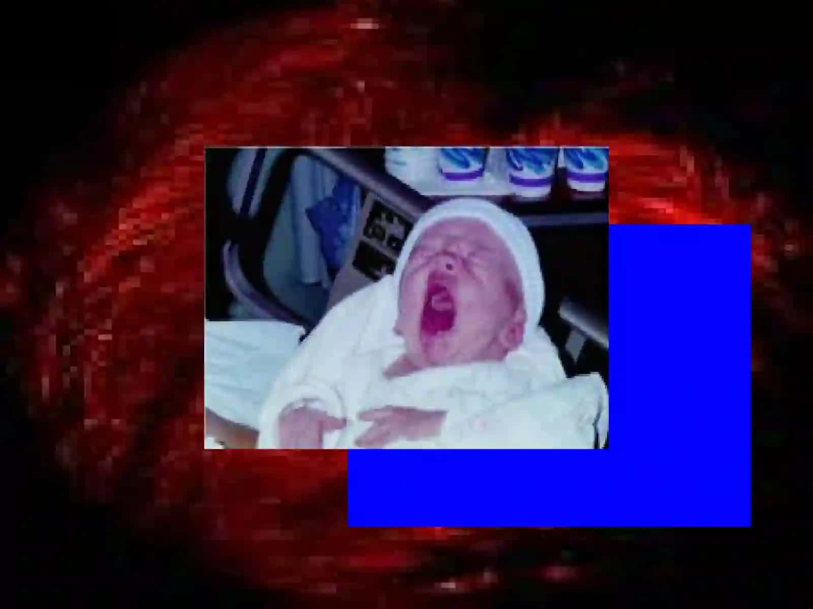 Infant formula 2