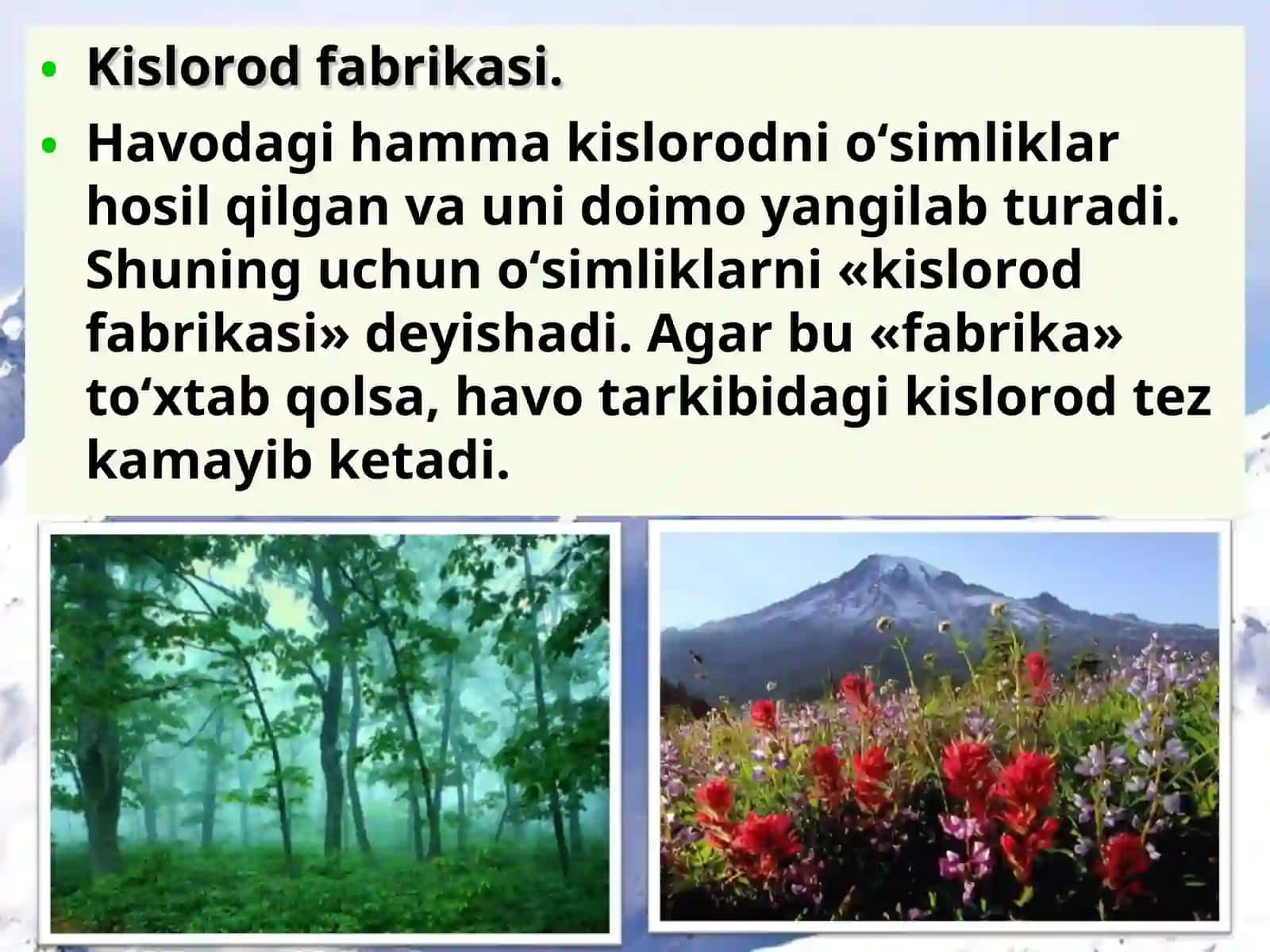 Organizmlarning yer qobiqlariga ta'siri 2