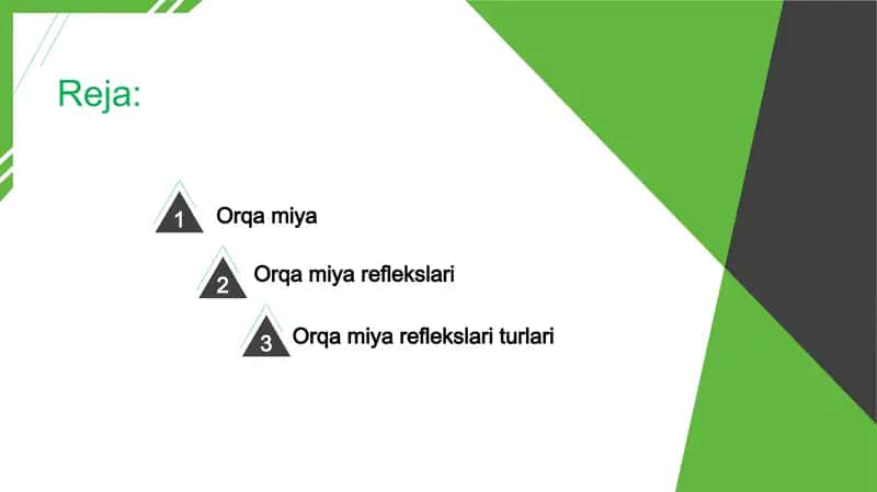 Orqa miya reflekslarini o'rganish 2