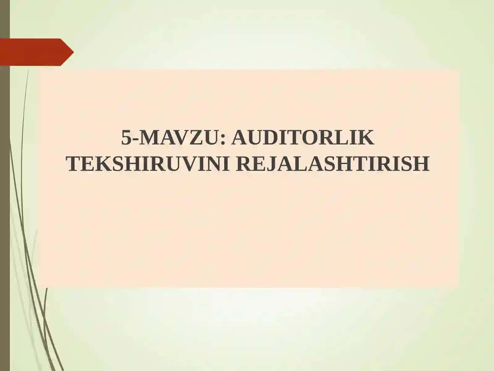 AUDITORLIK TEKSHIRUVINI REJALASHTIRISH 2